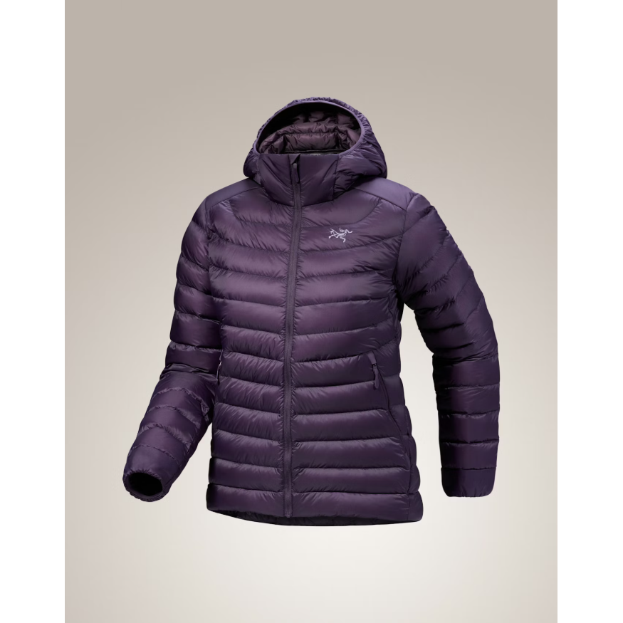 Arc'teryx Women's Cerium Hoody - Image 29