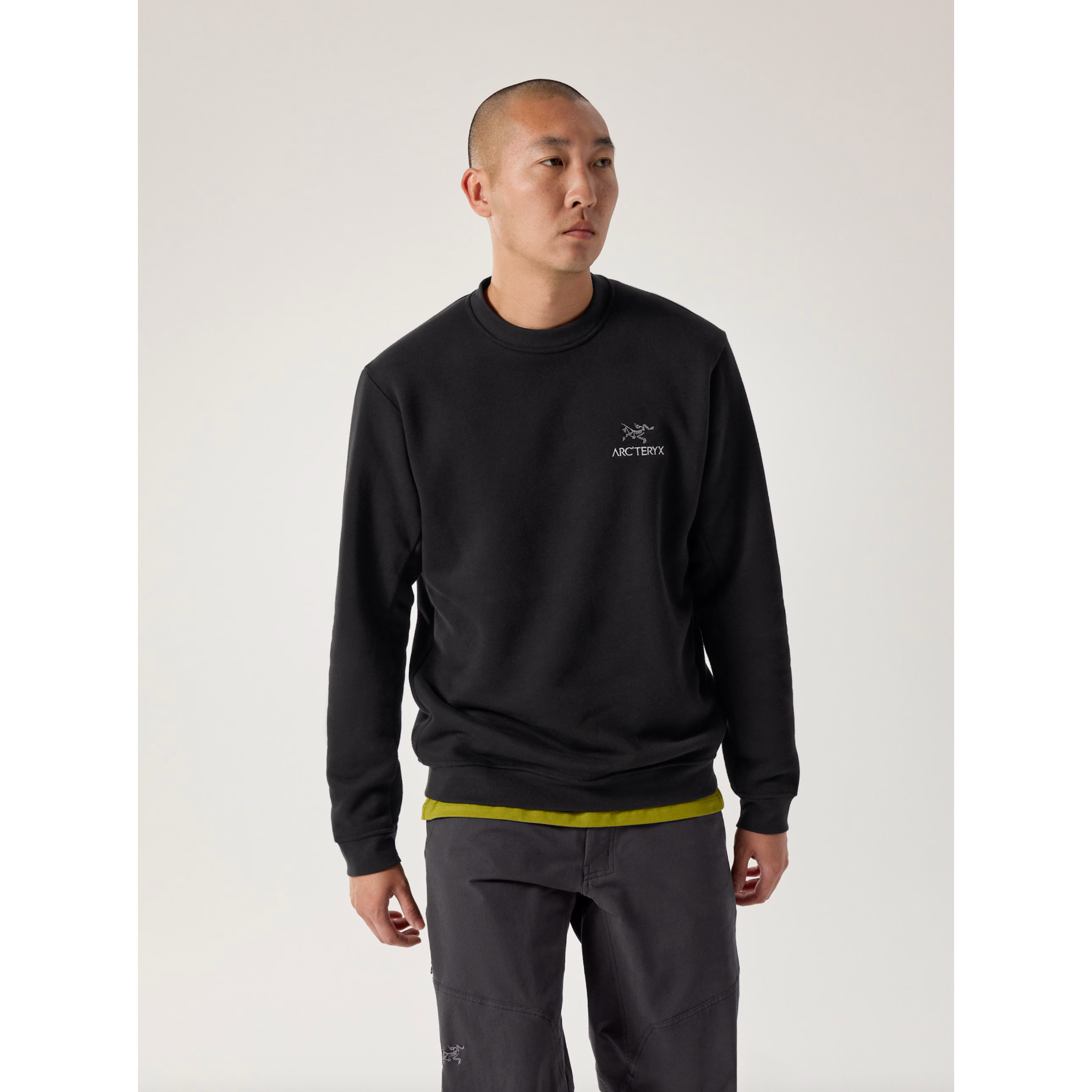 Arc'teryx Men's Emblem Fleece Crew Neck Pullover - Image 7